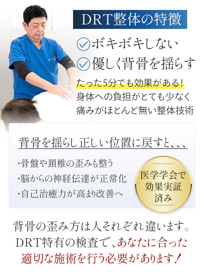 DRT整体の特徴