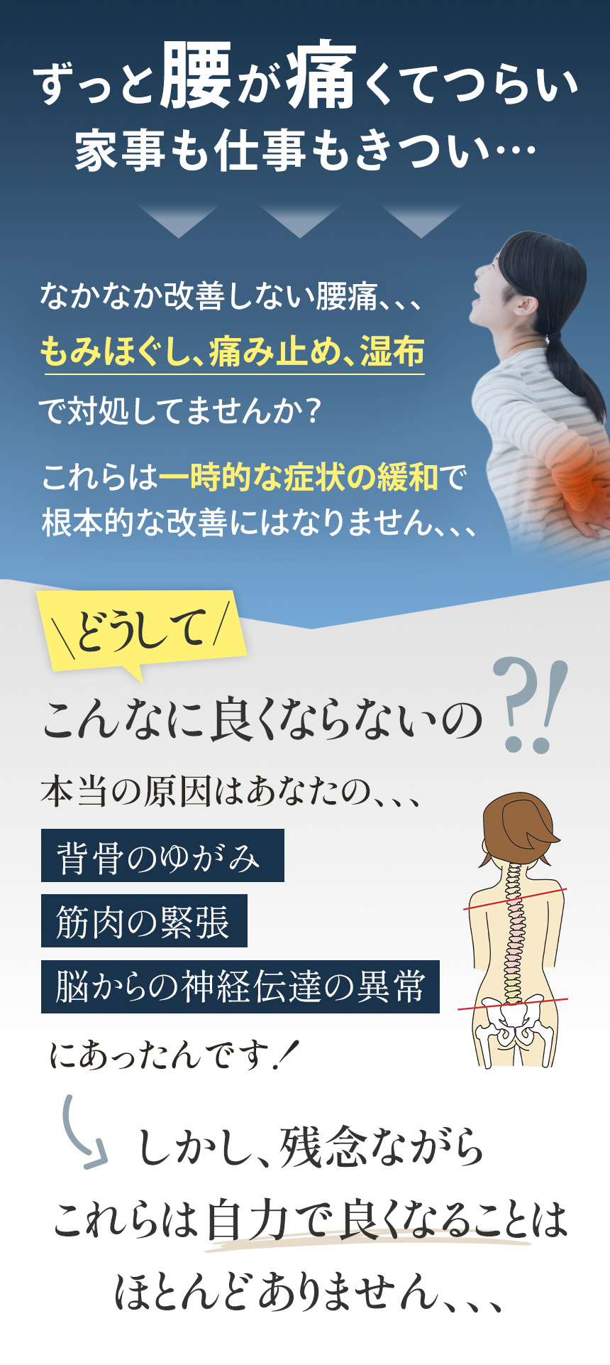 腰痛の原因